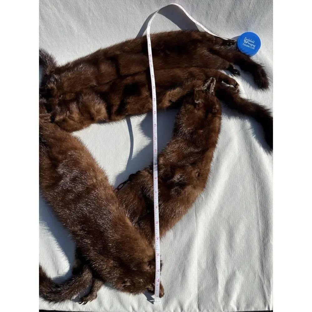 Vintage 4 Mink Fur Stole Pelts Scarfs Heads Full Body Taxidermy 1940s 1950s